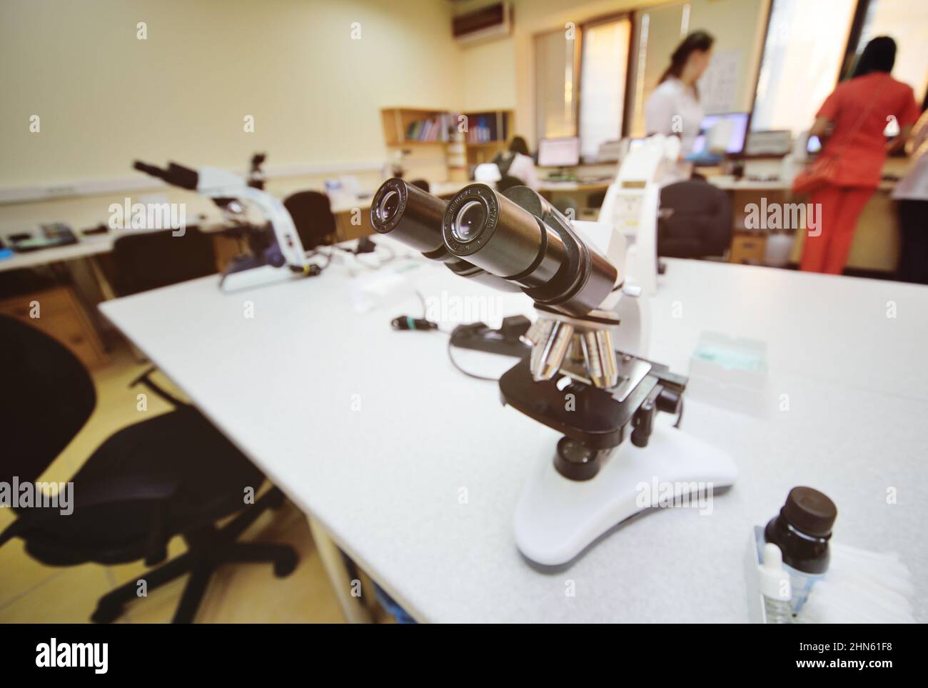 Un medic o scienziato esamina i batteri in un microscopio Foto Stock