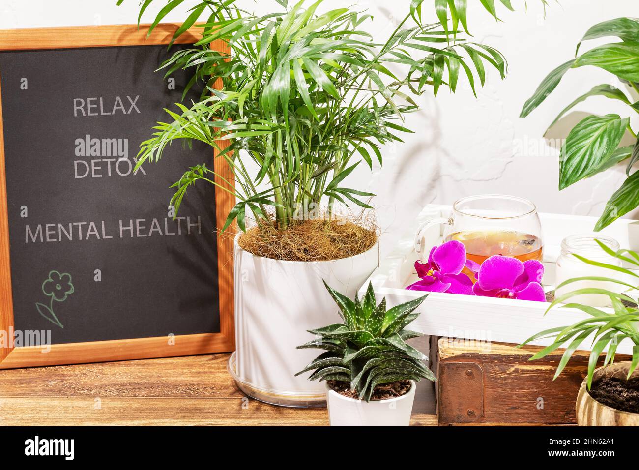 Eco-friendly casa giardinaggio composizione con le piante in vaso casa, tè alle erbe, aroma candela e bordo di gesso con iscrizioni relax, Detox, guarigione mentale Foto Stock