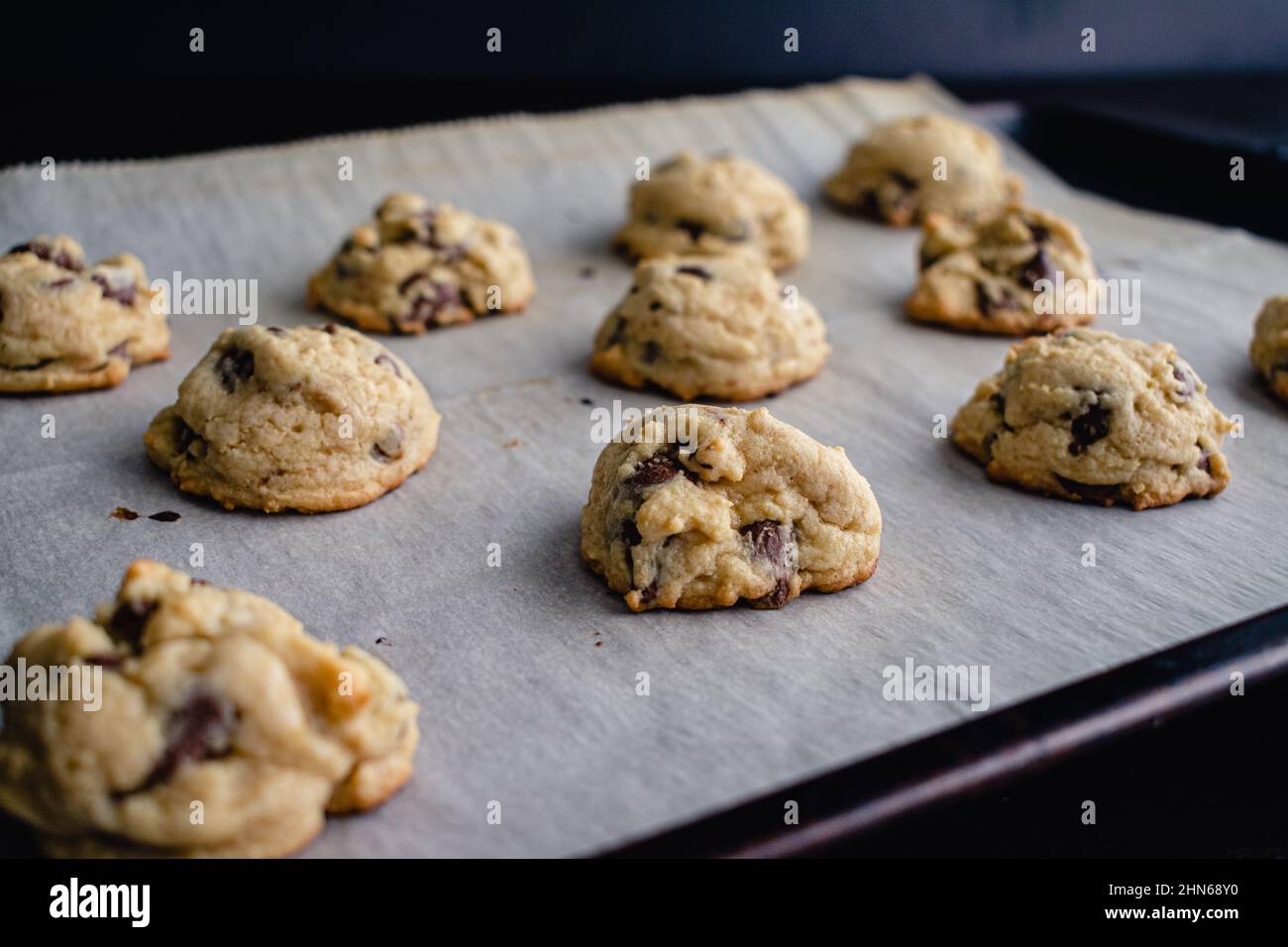 Biscotti con scaglie di cioccolato al formaggio Soft-Batch Cream: Biscotti con scaglie di cioccolato su una teglia rivestita di carta pergamena Foto Stock