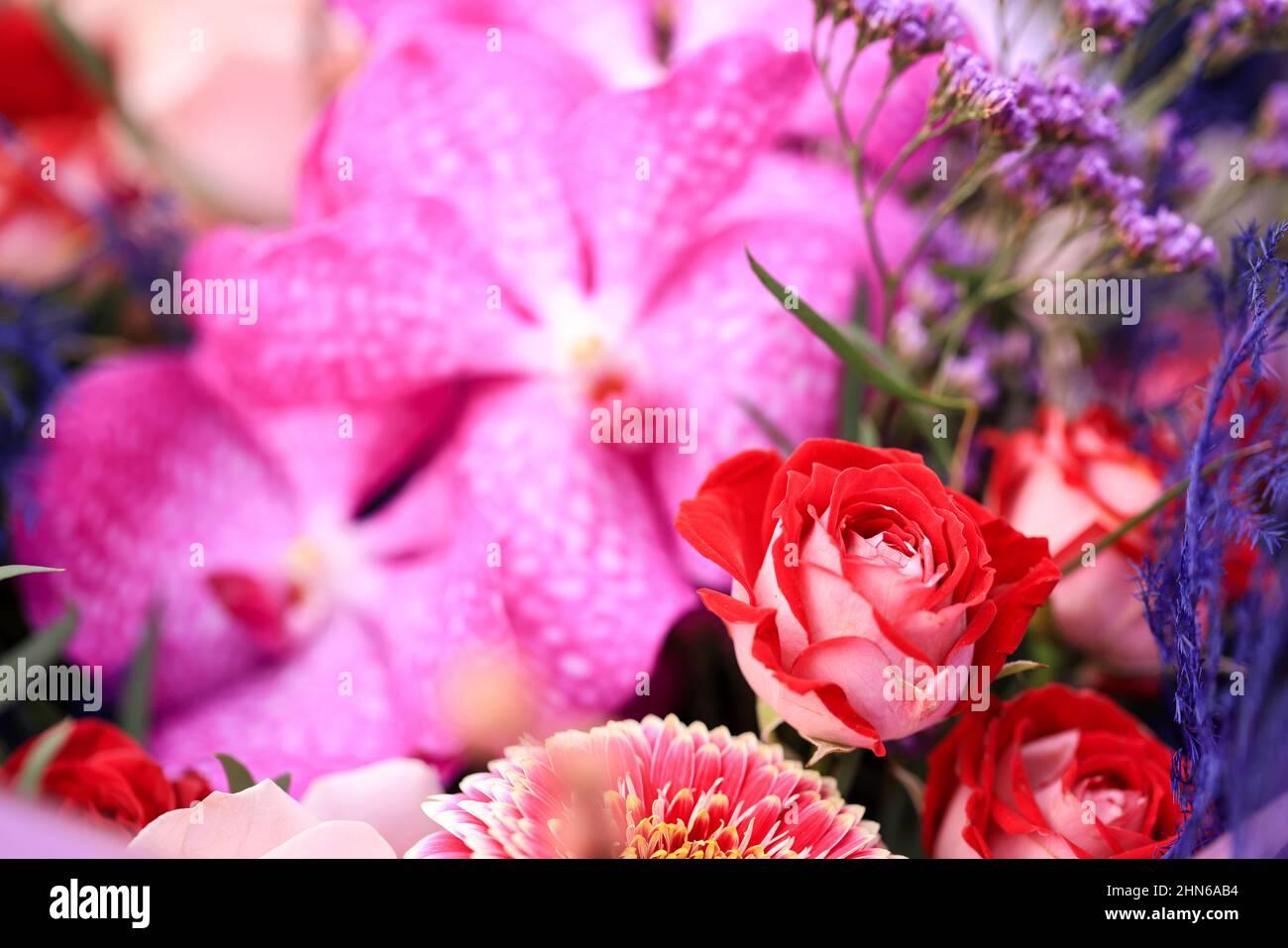Foto che mostrano un mazzo o bouquet di fiori per il giorno delle Valetine composto da rose, Orchidee, e altri fiori. Foto Stock