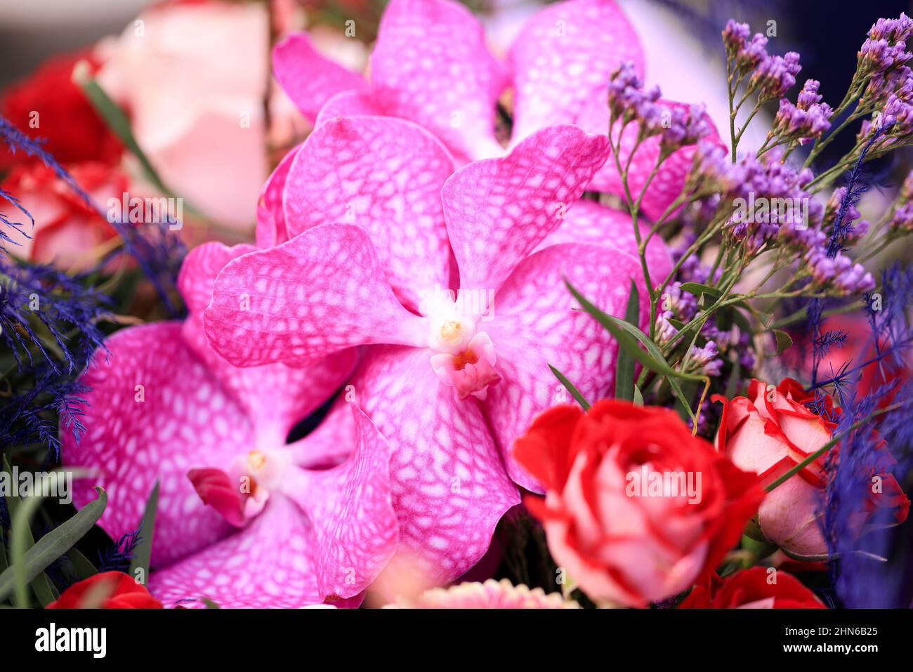 Foto che mostrano un mazzo o bouquet di fiori per il giorno delle Valetine composto da rose, Orchidee, e altri fiori. Foto Stock