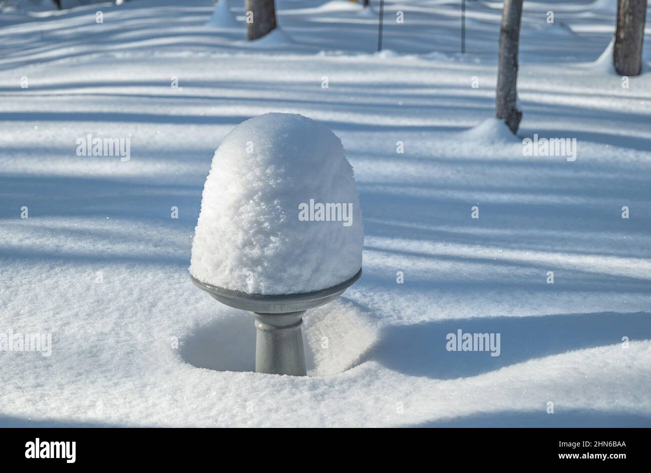 Bagno di uccelli coperto di neve in inverno sole in Minnesota. Foto Stock