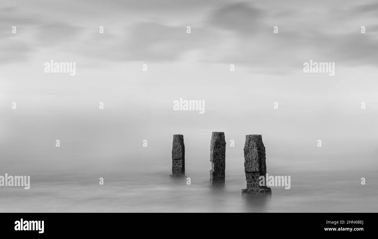 I pennelli Foto Stock