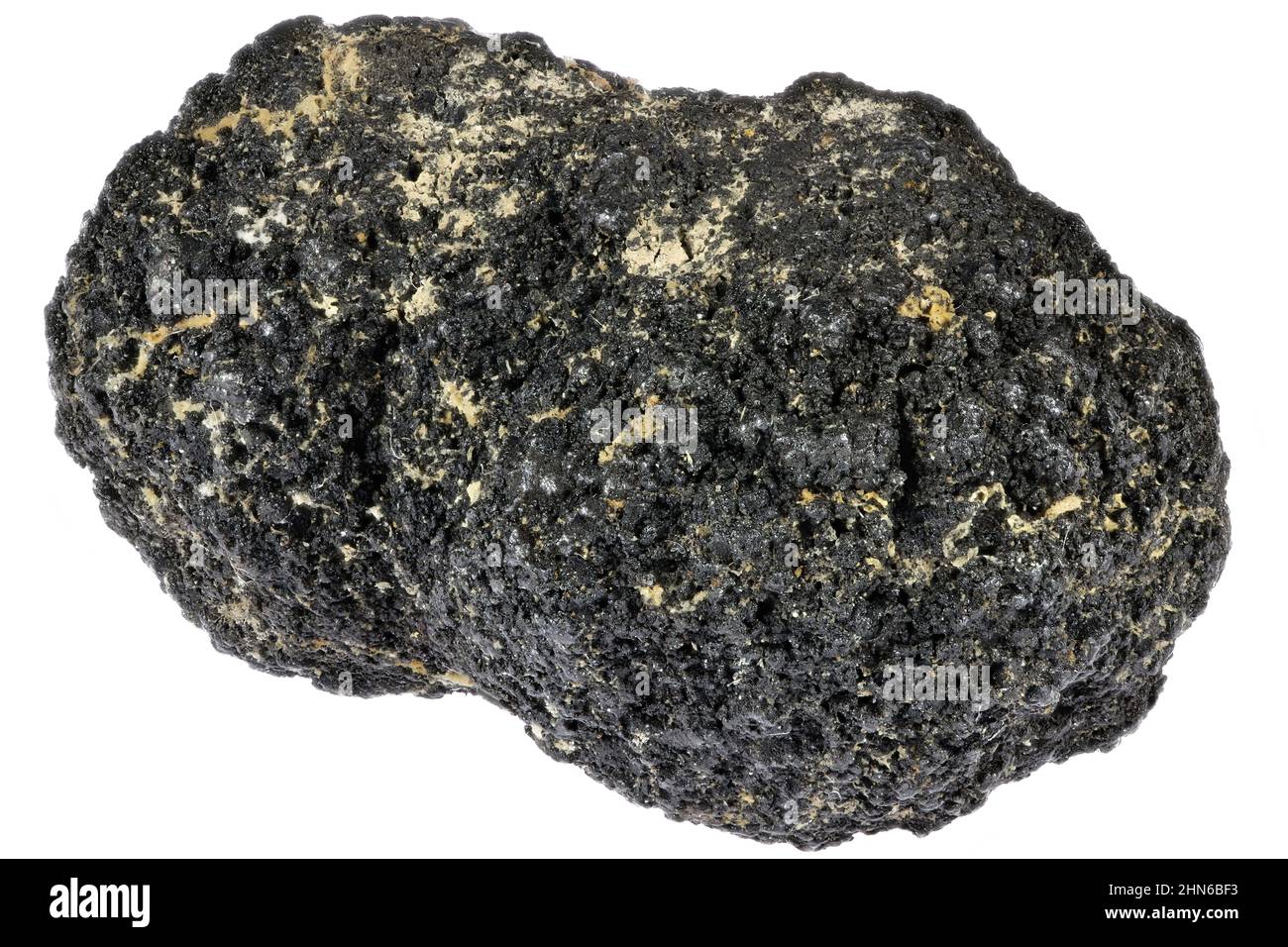 Nodulo di manganese recuperato nel Pacifico da una profondità di circa 4000m tra le Hawaii e il Messico (Clarion-Clipperton-Area) su sfondo bianco Foto Stock