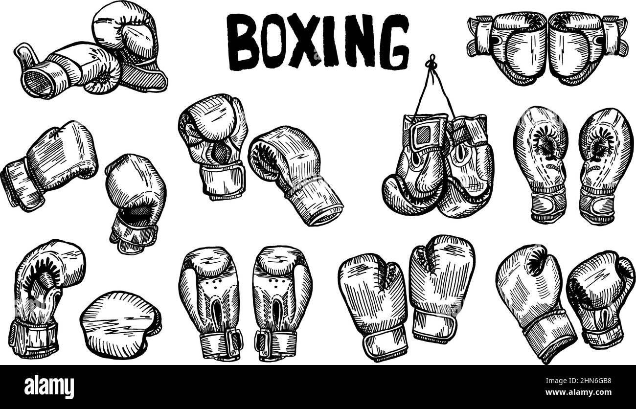 Posizionare i guanti da boxe appesi sullo schizzo del titolo isolato. Attrezzature sportive per pugilato in stile disegnato a mano. Disegno inciso per poster, stampa, libro illust Illustrazione Vettoriale