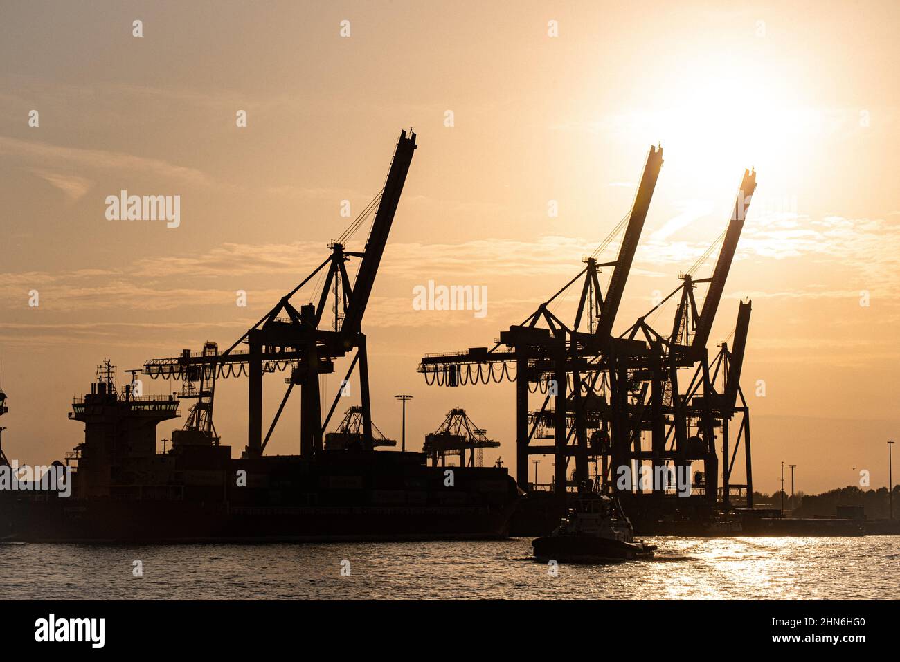 Le grandi gru di carico nel porto di Amburgo al tramonto Foto Stock