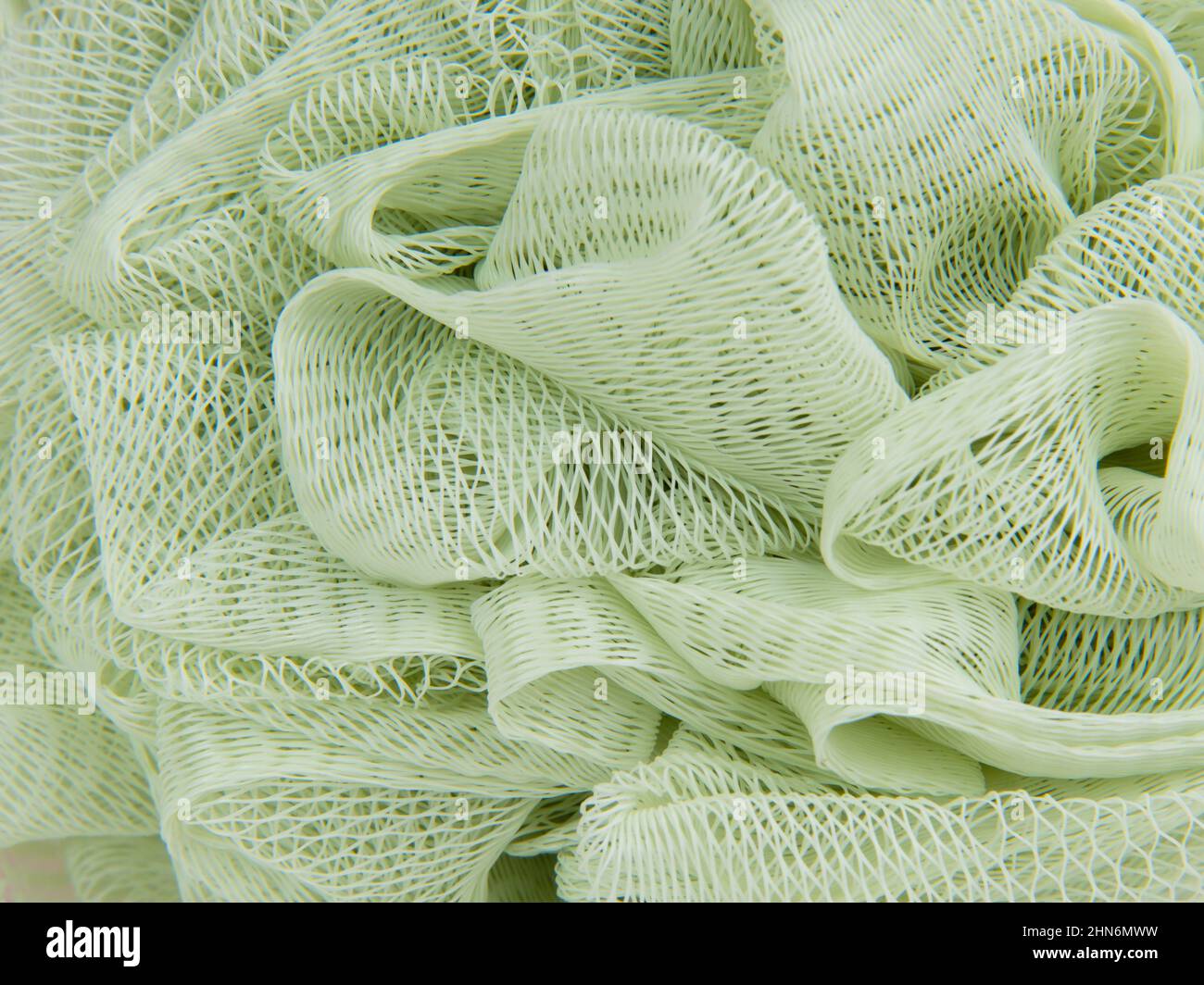 Spugnetta verde per la cura del bagno della doccia Foto Stock