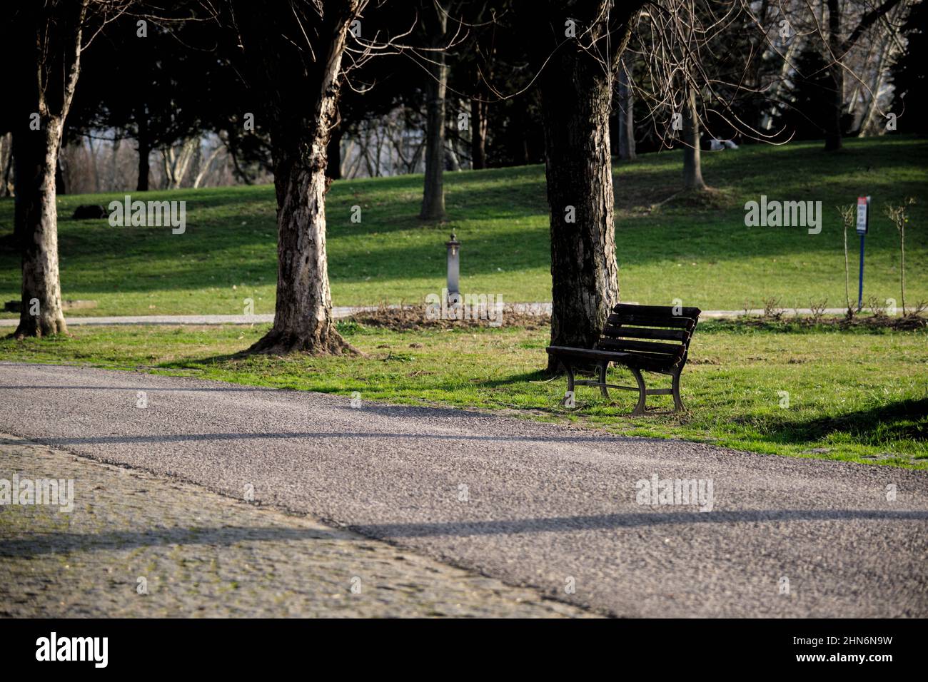 Panca singola in legno, concetto unico idea e sole giù e ombre di alberi e panca durante il tramonto nel parco botanico Bursa. Foto Stock