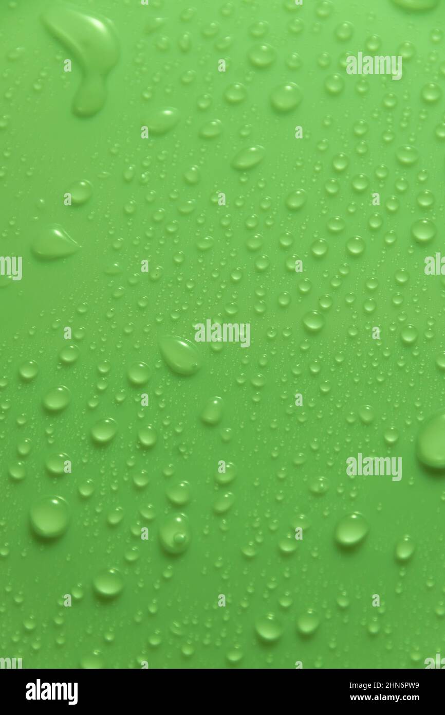 Gocce d'acqua color pastello verde su una superficie chiara e lucida Foto Stock