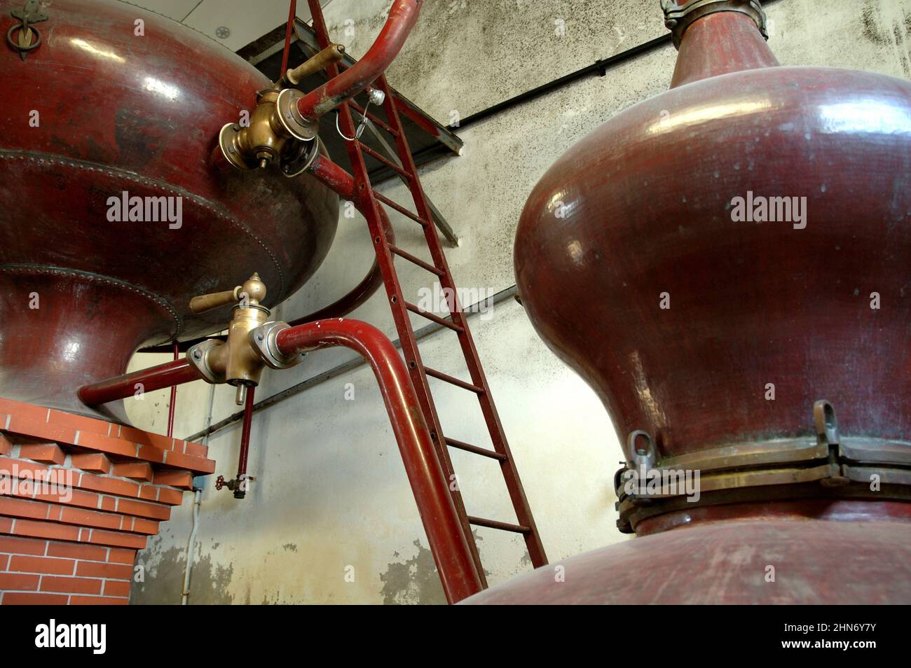FRANCIA. CHARENTE-MARITIME (17). ISOLA DI OLERON. L'ISOLA PRODUCE COGNAC DAL 18TH SECOLO. Foto Stock