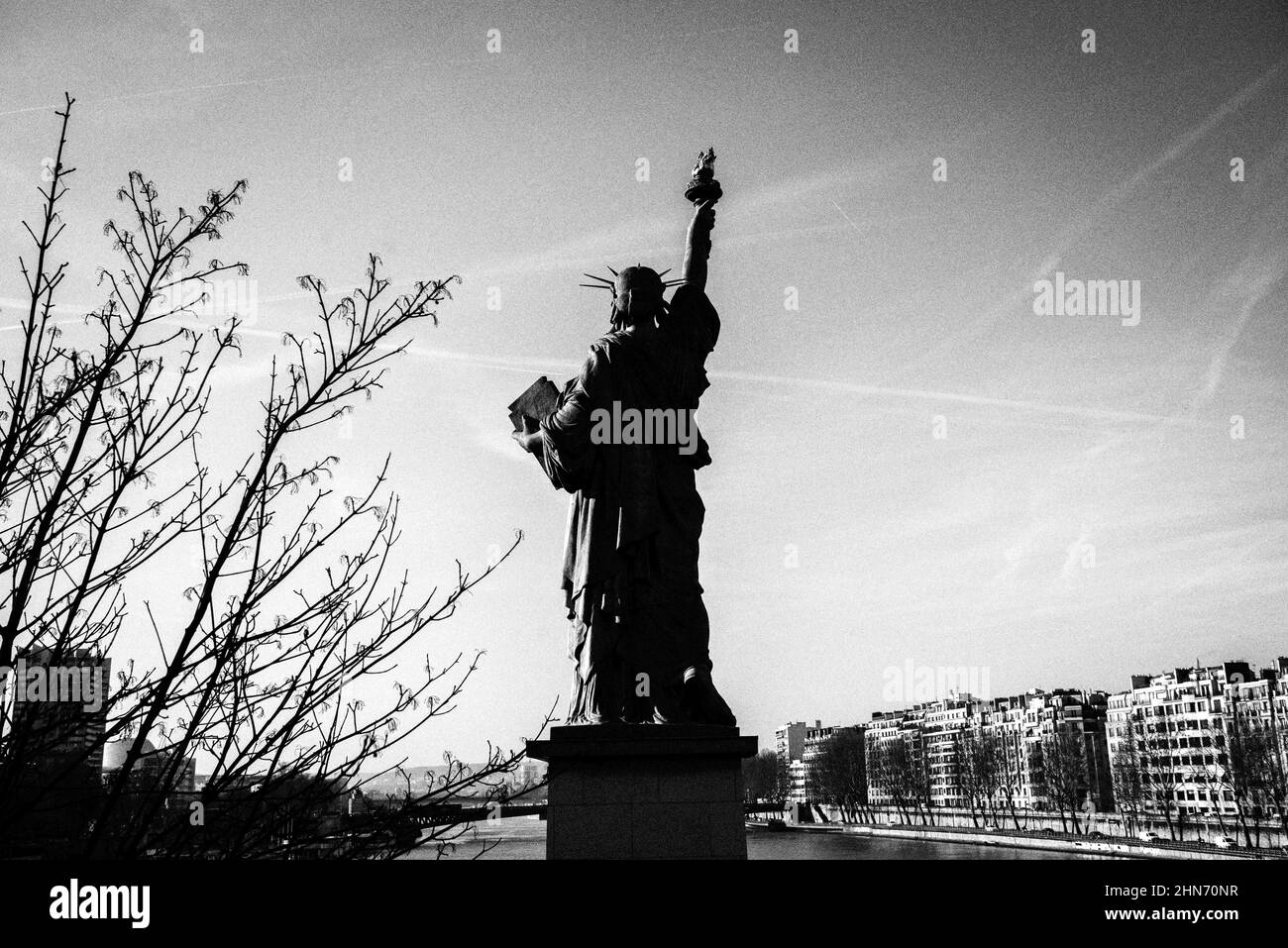 Foto in scala di grigi della Statua della libertà a Parigi, Francia Foto Stock