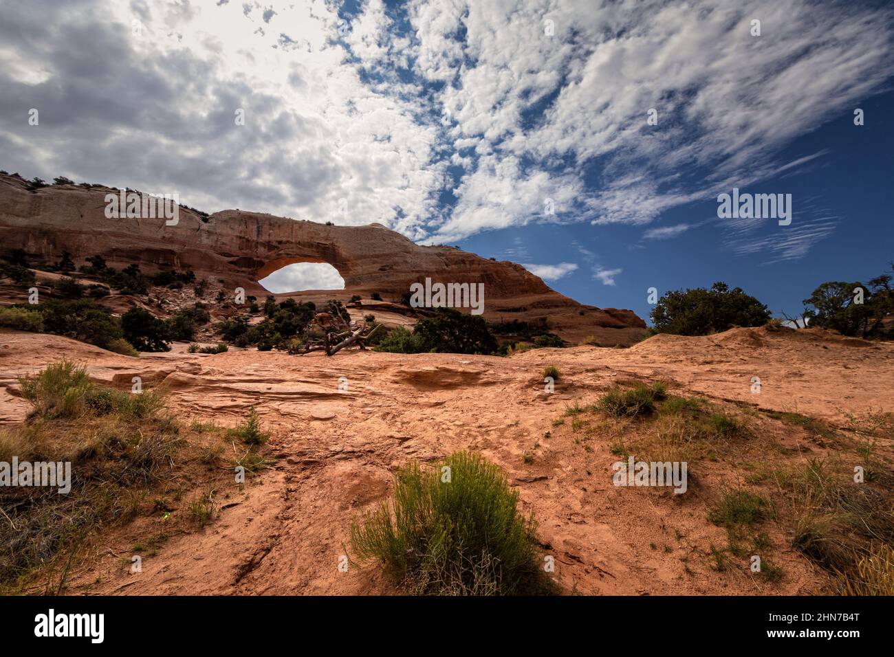 Parco Nazionale di Arches, Moab, Utah Foto Stock