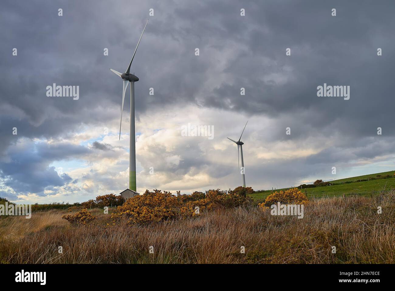 Turbine eoliche sulla collina, Wind farm. Produzione di energia ecologica. Impianto di energia alternativa, Irlanda Foto Stock