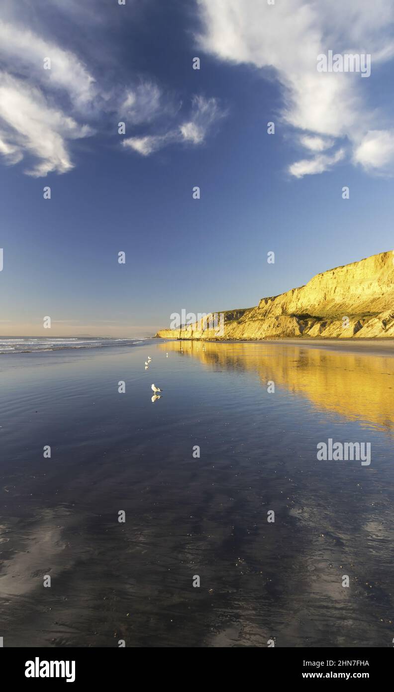 Torrey Pines state Beach con vista verticale a San Diego, California, con scogliere in arenaria erosa che si riflettono nella marea dell'Oceano Pacifico poco profonda Foto Stock