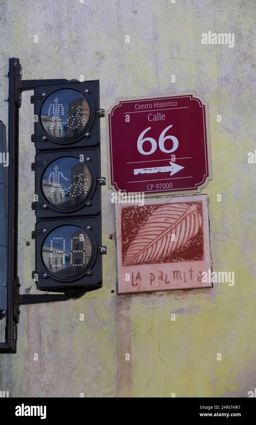La Palmita (la piccola foglia di palma), Terra Cota Colonial Street Sign, Casa 66 & Casa 61, Merida, Yucatan state, Messico Foto Stock