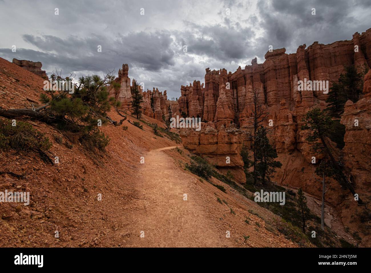 Parco Nazionale di Bryce Canyon, Utah Foto Stock