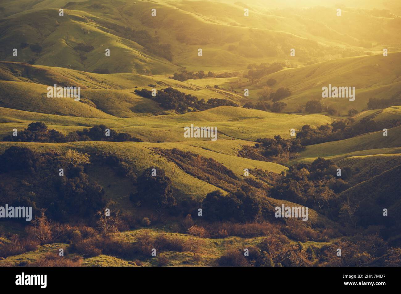 Scenografica California Santa Lucia Rolling Hills vicino a Cambria. South Central California Coastal Landscape, Stati Uniti d'America. Foto Stock