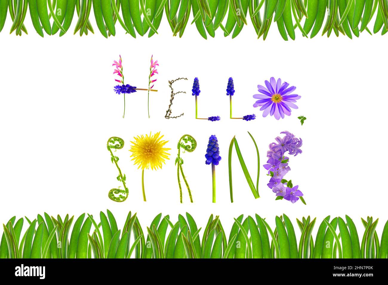 Ciao primavera.Floral lettere e verde cornice di erba isolato su sfondo bianco . Banner a molla. Alfabeto floreale. Primavera. Primavera stagione Foto Stock