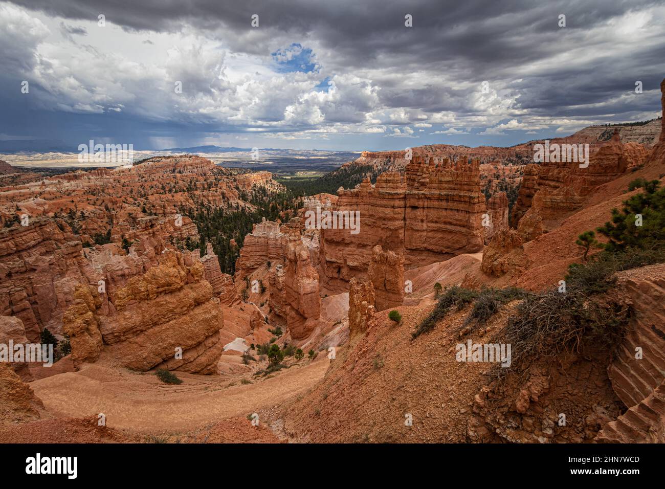 Parco Nazionale di Bryce Canyon, Utah Foto Stock