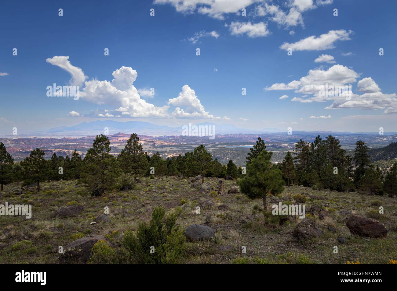 Dixie National Forest in Utah Foto Stock