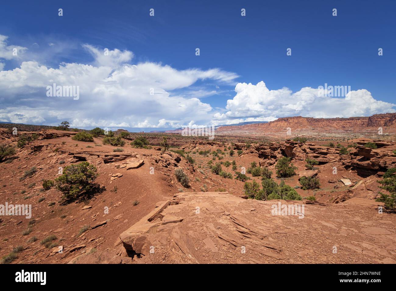 Parco nazionale di Capitol Reef, Utah Foto Stock