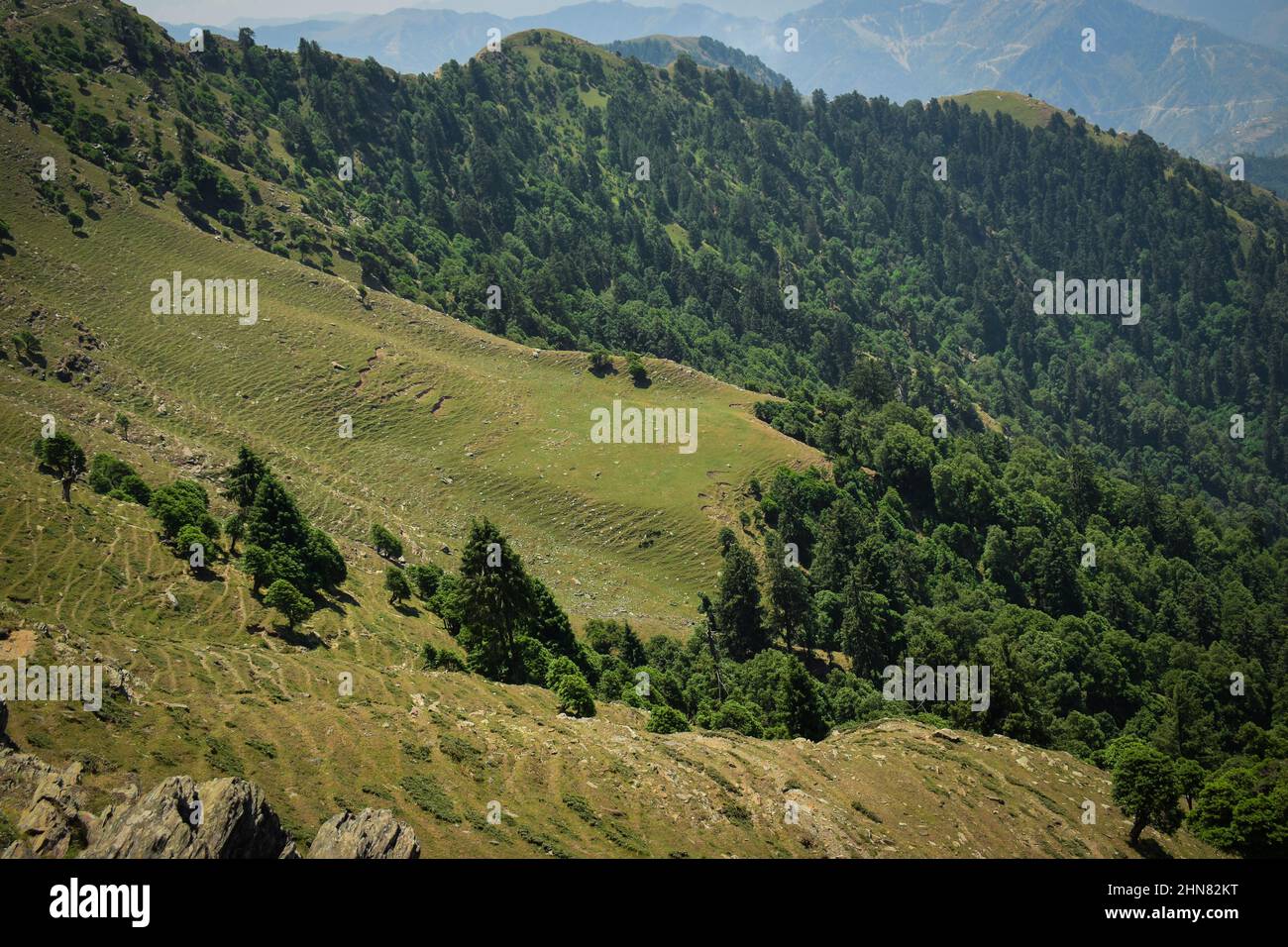 Migliori posti di verde in India . Beautiful prashar rishi tempio in himachal pradesh Foto Stock