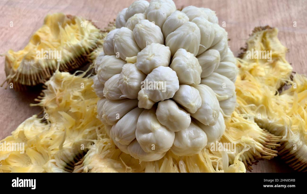 Vista ravvicinata della frutta di Tarap del Borneo. Frutta rara concetto Foto Stock