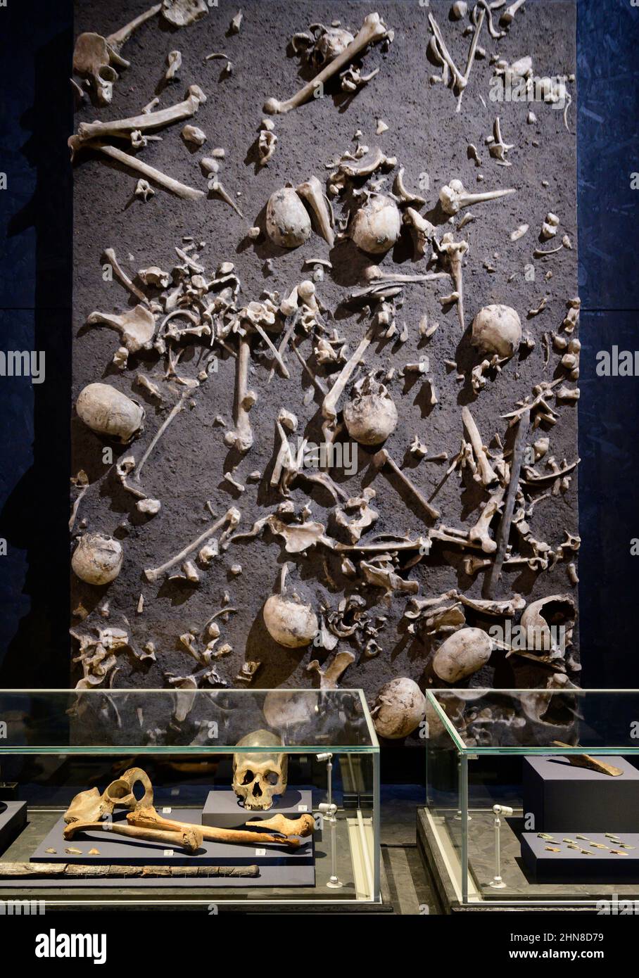 Prestito di parte di un sito di battaglia 1250 AC vicino al fiume Tollense in Germania NW, ossa vittime, assi, club e frecce scavate. Prestito da parte dell'Ufficio di Stato per la gestione del patrimonio e l'archeologia Sassonia-Anhalt; LAKD M-V, Landesarchäologie, Schwerin per la mostra British Museum il mondo di Stonehenge. Si tratta della prima grande mostra britannica a Stonehenge e della più grande mostra del British Museum degli ultimi tempi, in corso dal 17 febbraio al 17 luglio 2022. Fotografia scattata in anteprima alla stampa il 14 febbraio 2022. Credit: Malcolm Park/Alamy Foto Stock
