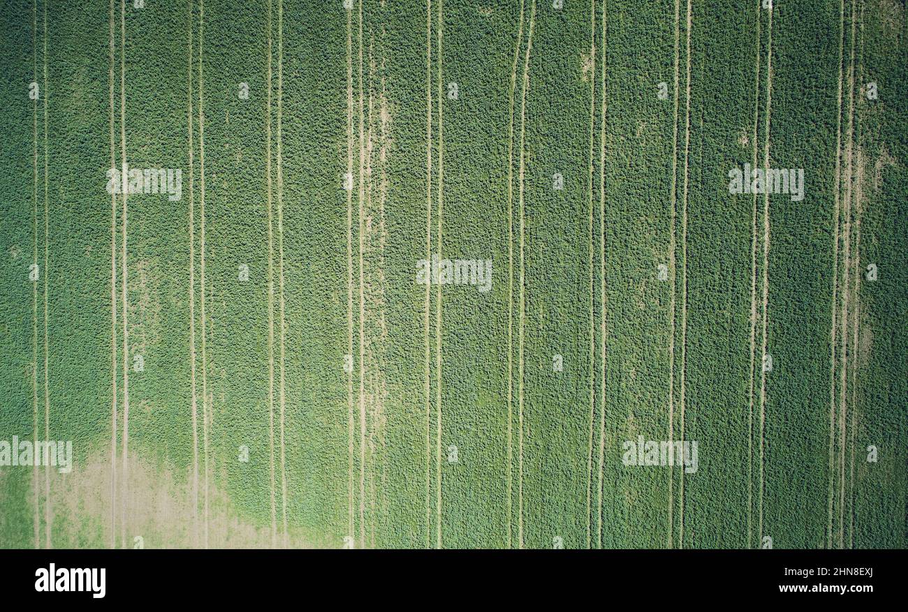Verde girare sfondo prato sopra la vista drone superiore Foto Stock