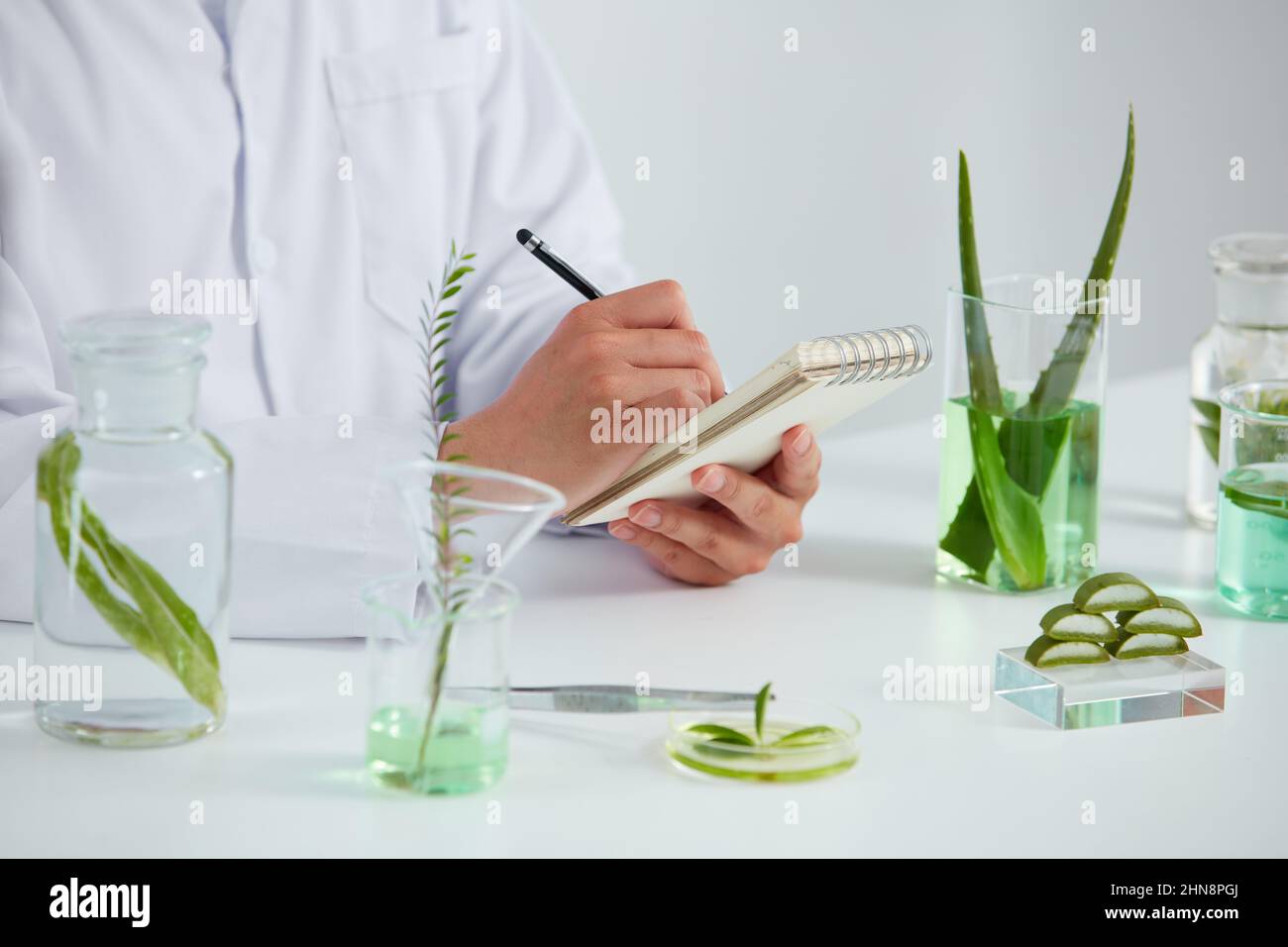 Estratto di aloe vera in piatto di Petri e fondo bianco in laboratorio ,  foglia verde in provetta e medico per pubblicità cosmetica , fotografia sci  Foto stock - Alamy