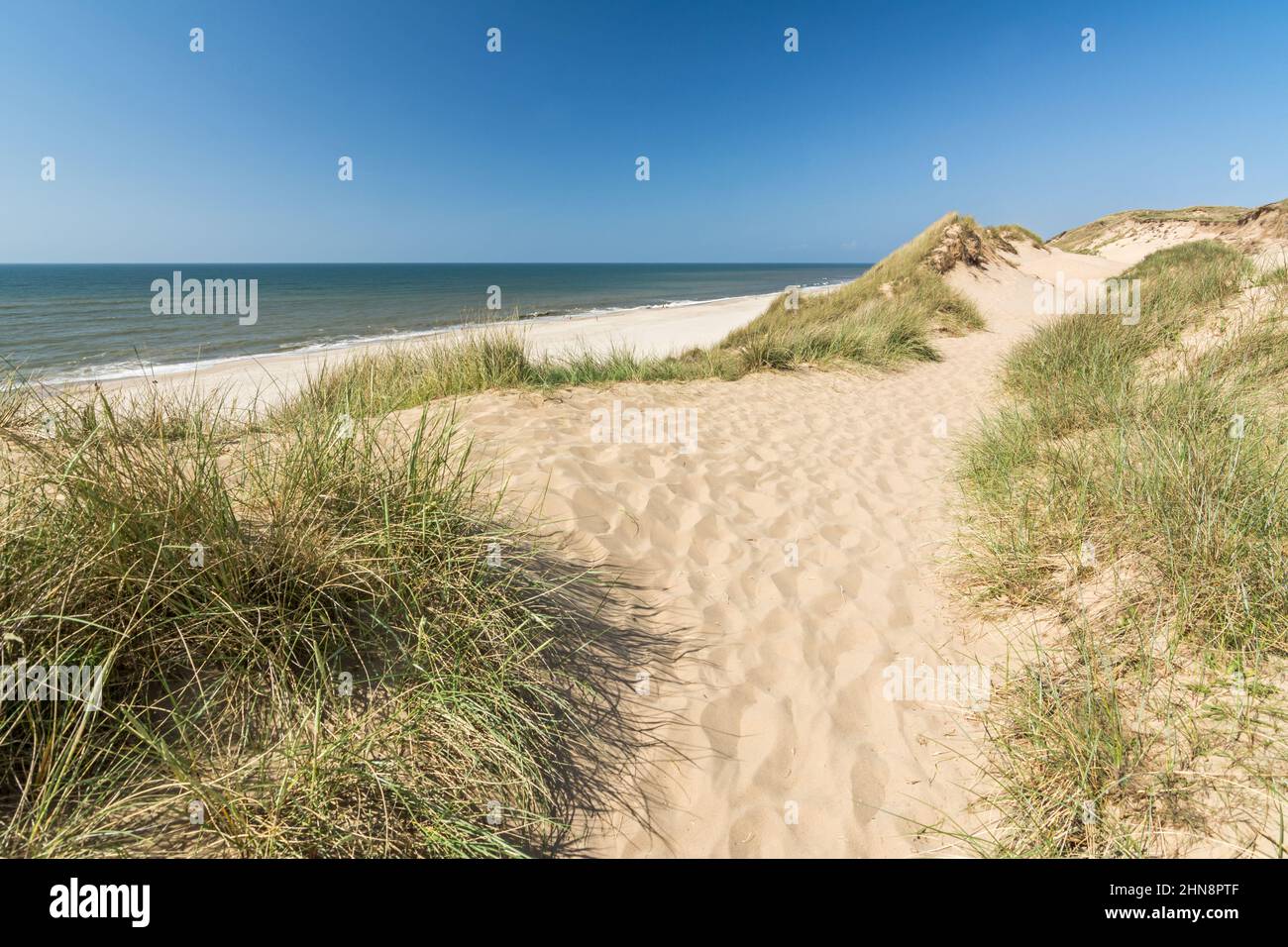 Sentiero escursionistico nelle dune vicino all'oceano sull'isola di Sylt nella Germania settentrionale Foto Stock