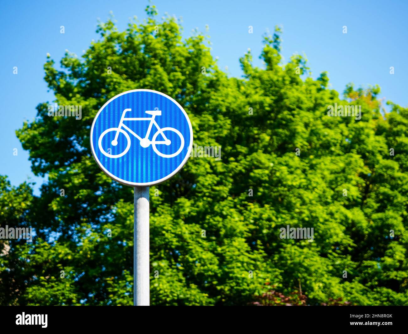 un cartello blu indica un percorso ciclabile. pista ciclabile, cartello blu rotondo contro albero verde Foto Stock