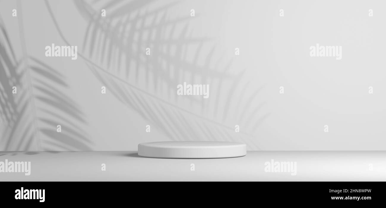 Showroom con stativo cilindrico su sfondo grigio per l'esposizione dei prodotti Foto Stock