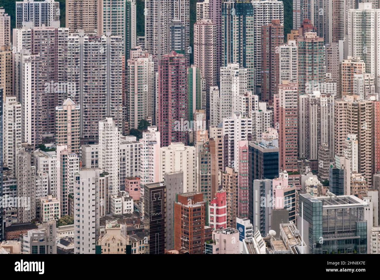 Gli alti blocchi residenziali di Sheung WAN e Mid-level, Hong Kong Island, 2008 Foto Stock