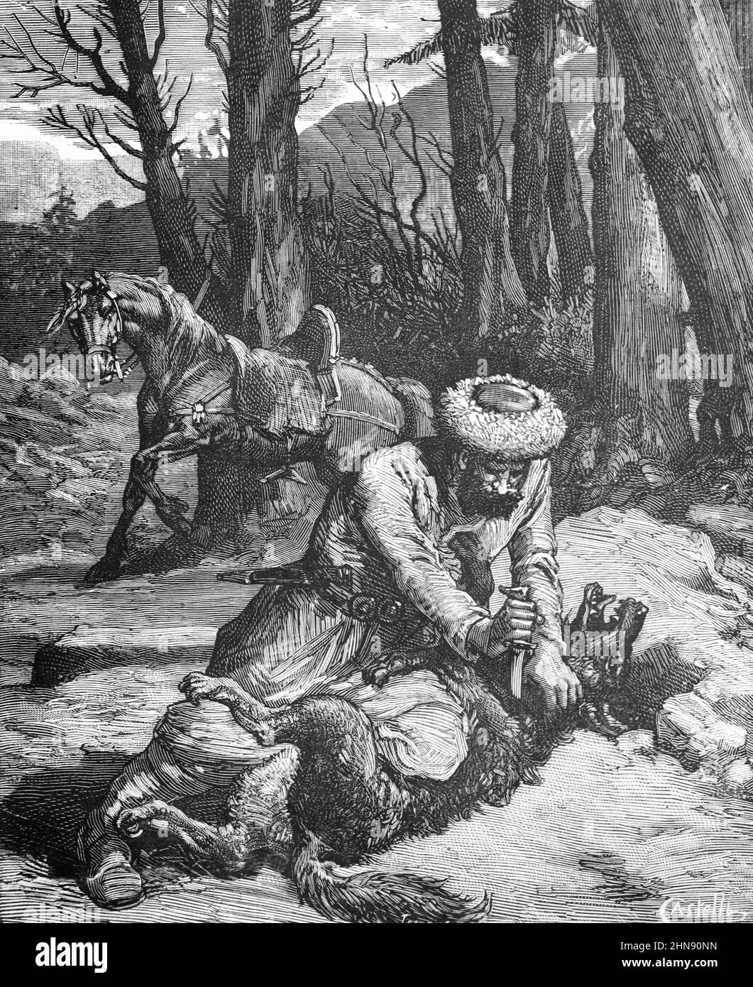 Cossack caccia lupo grigio, Canis lupus, o uccisione lupo in Russia. Illustrazione o incisione vintage 1882 Foto Stock