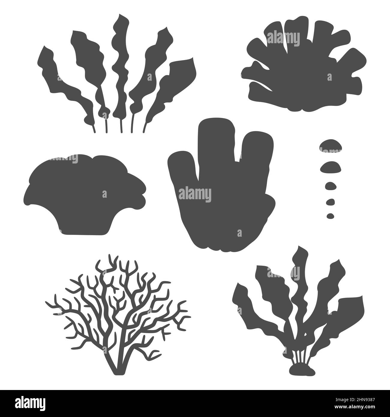 Set di illustrazioni in bianco e nero con coralli e alghe. Oggetti vettoriali isolati su sfondo bianco. Illustrazione Vettoriale