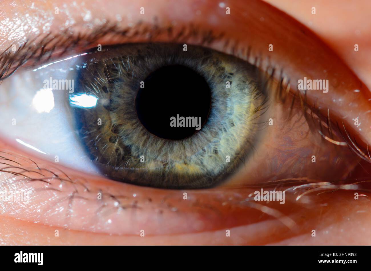 Foto macro molto ravvicinata dell'occhio blu umano. Dettaglio dell'occhio umano in primo piano con profondità di campo ridotta. Foto Stock