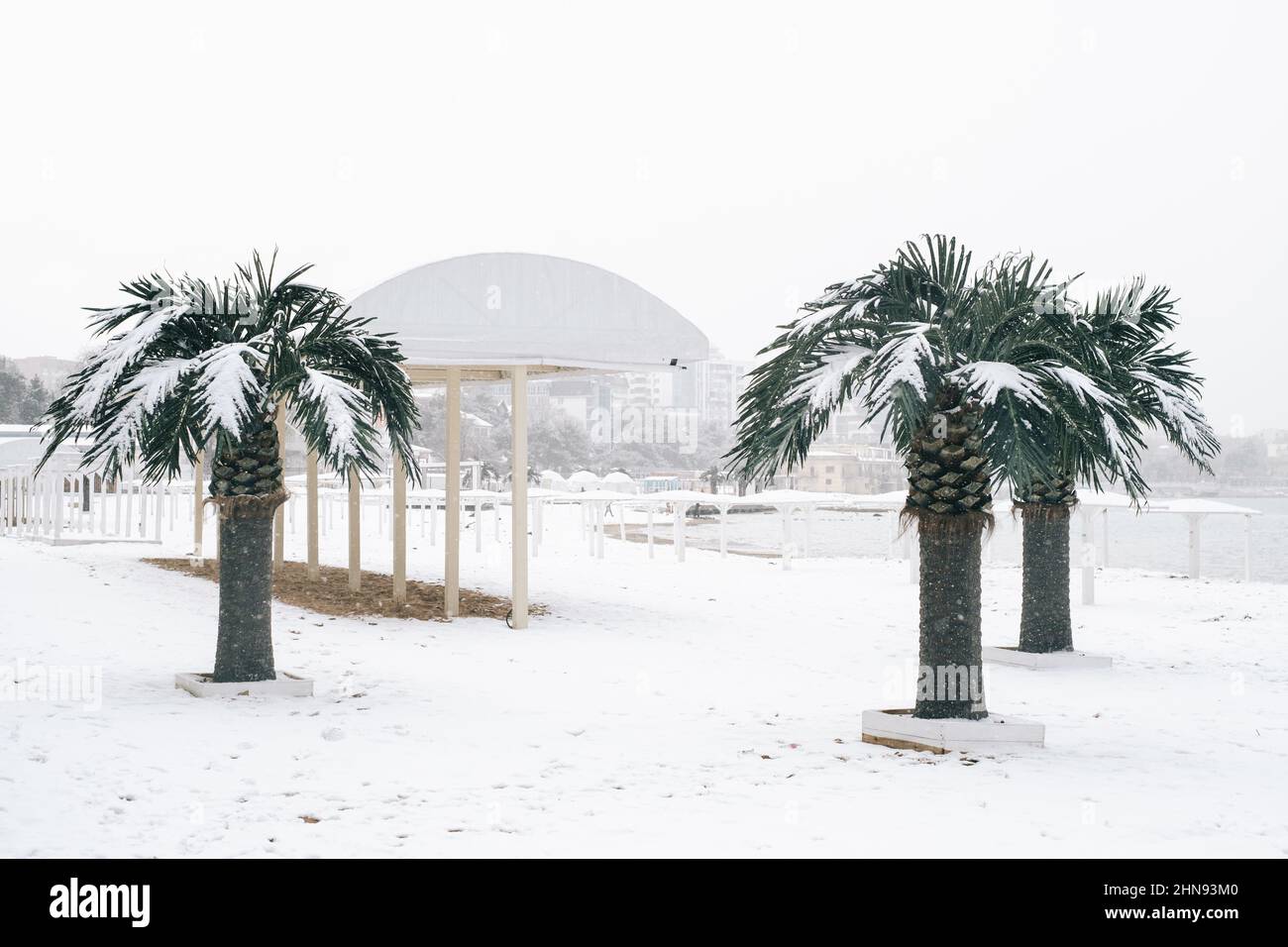 Spiaggia centrale con palme durante la neve nella città di Gelendzhik. Foto Stock