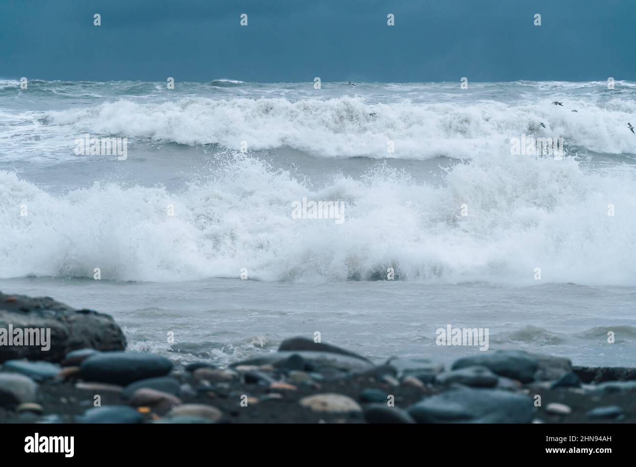 Onde di tempesta del mare dalla riva , i gabbiani volano sulle onde Foto Stock