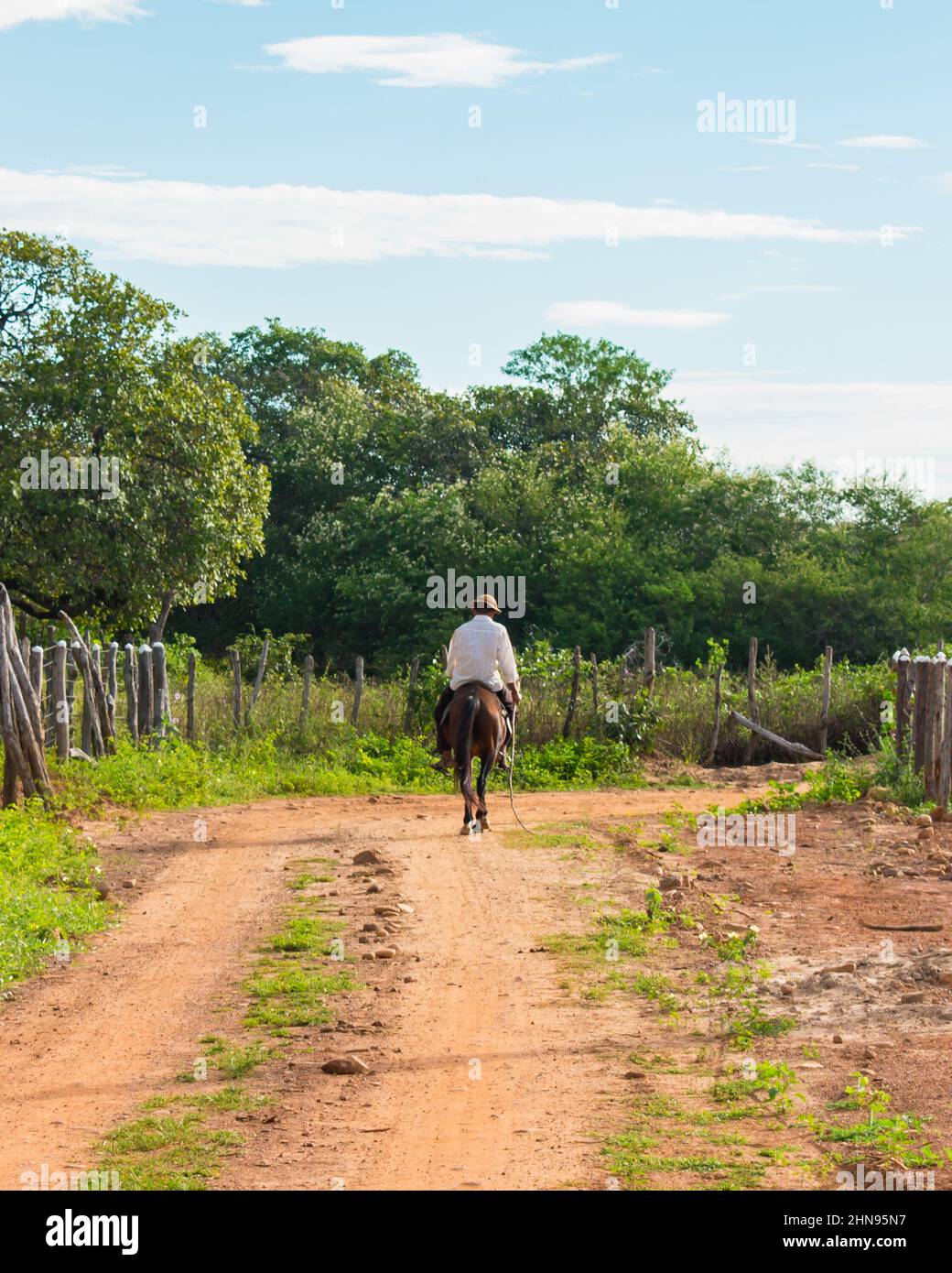 Cowboy nordorientale brasiliano (alias sertanejo) con il suo tipico cappello di pelle, a cavallo nella campagna di Oeiras - stato di Piaui, Brasile Foto Stock