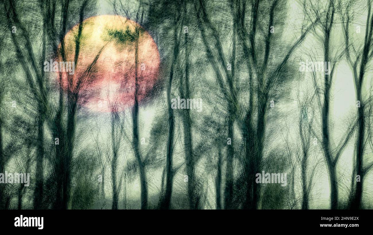 ARTE CONTEMPORANEA: Tramonto Foto Stock