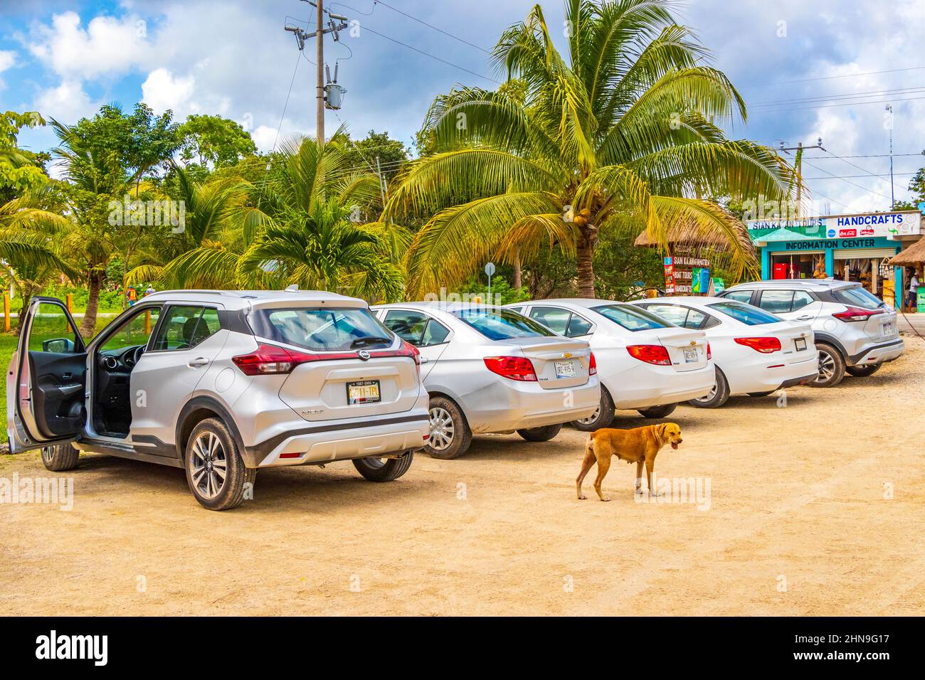 Muyil Messico 02. Febbraio 2022 Parcheggio con auto e strada percorso ghiaia nella giungla e natura tropicale e cani alle rovine Maya Muyil a Chunyaxch Foto Stock