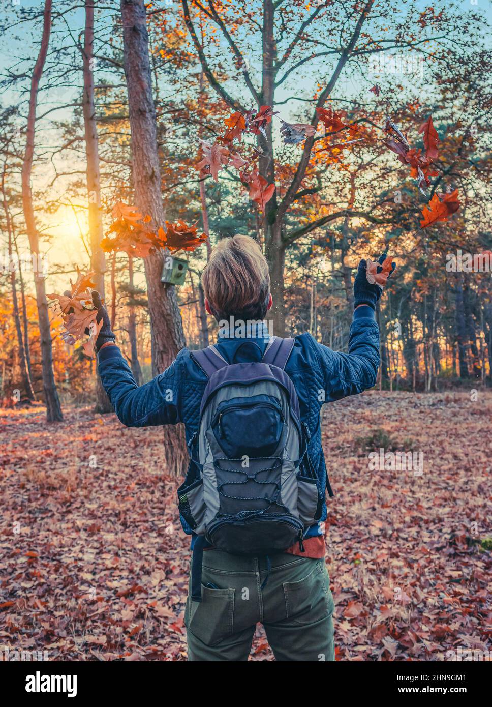 Uomo con zaino divertirsi e lanciare autunno lascia in su nella foresta. Foto Stock