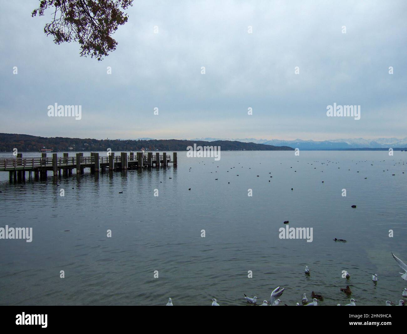 Vista sull'Ammersee fino alle bianche montagne delle Alpi. Sulla destra un molo di legno e alcune anatre e uccelli sulle acque del lago Foto Stock