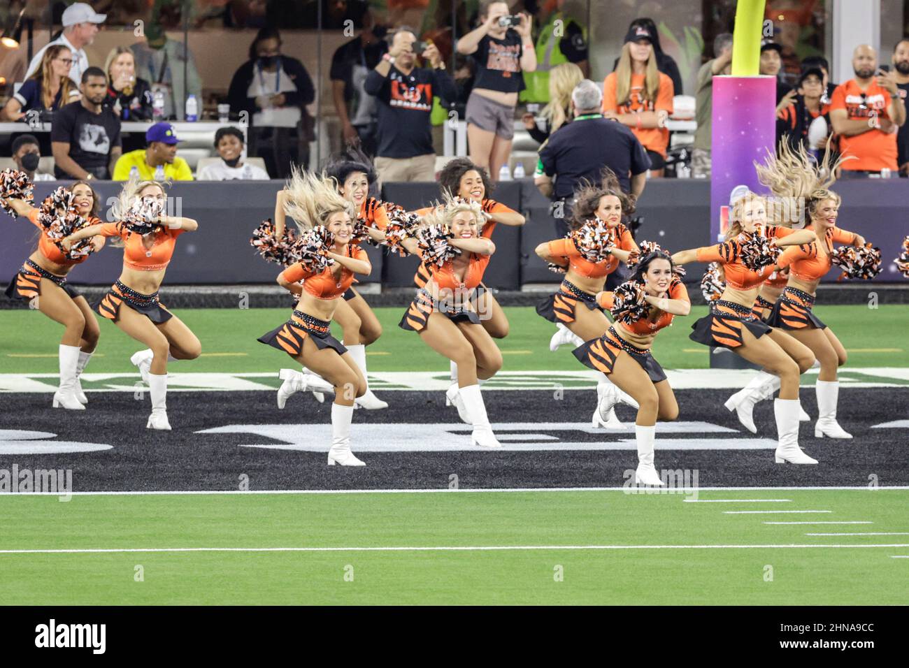 Domenica 13 febbraio 2022, 2022; Inglewood, CA USA; le cheerleader dei Cincinnati Ben Gals si esibiscono durante il Super Bowl LVL contro i Los Angeles Rams al SoFi Stadium. I Rams batterono i Bengals 23-20. (Kim Hukari/immagine dello sport) Foto Stock