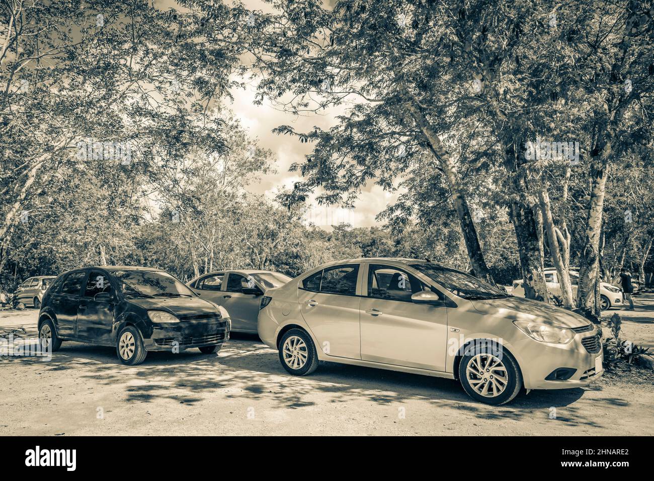 Vecchio quadro in bianco e nero di un parcheggio con auto e strada percorso ghiaia nella giungla e natura tropicale a Kaan Luum laguna Tulum Quintana Roo M. Foto Stock