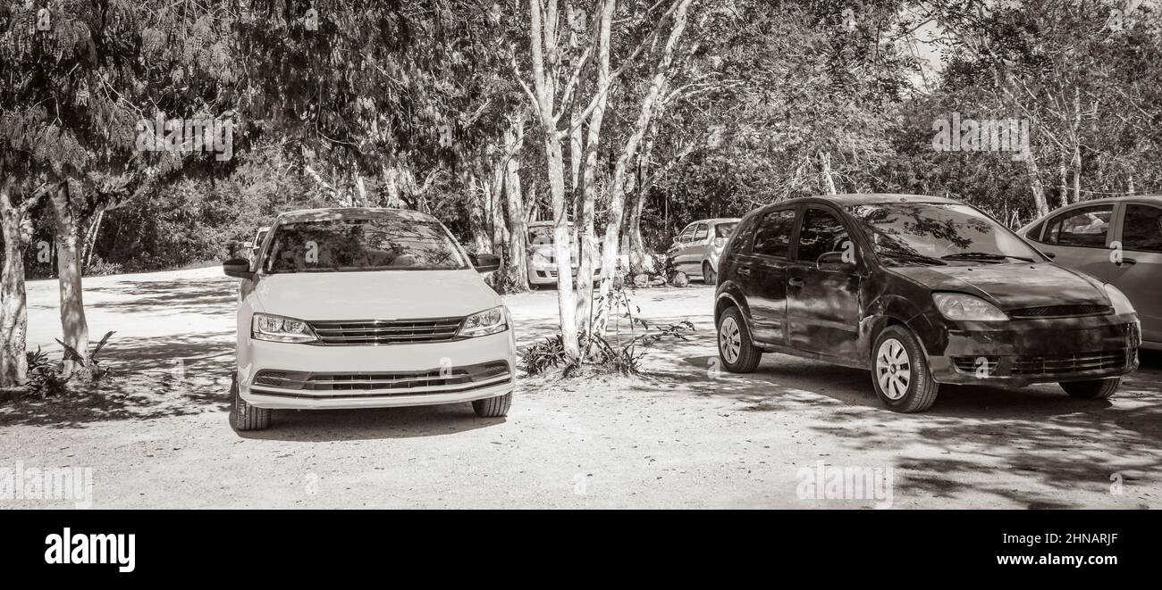 Vecchio quadro in bianco e nero del parcheggio con auto e strada percorso ghiaia nella giungla e natura tropicale a Kaan Luum laguna Tulum Quintana Roo Foto Stock