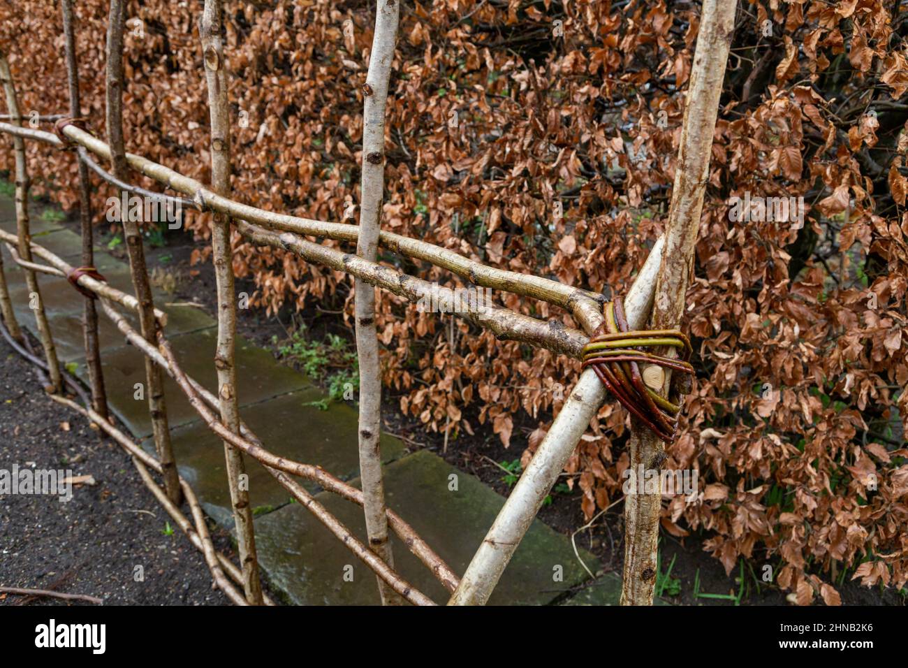 Telaio di supporto per piante naturali vicino ad una siepe di faggio in inverno. I supporti sono costituiti da rami di albero legati tra loro. Foto Stock