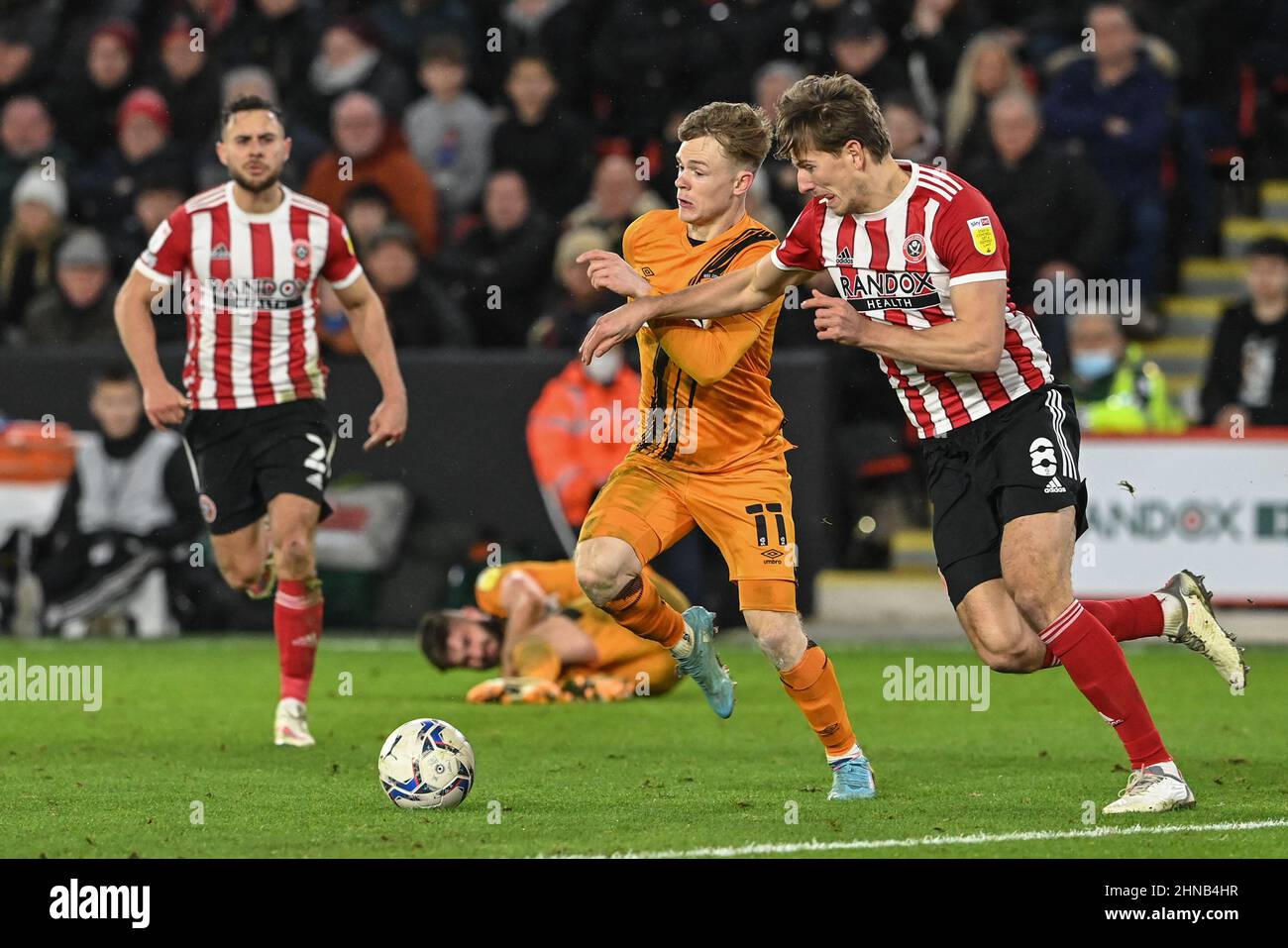 Sheffield, Regno Unito. 15th Feb 2022. Keane Lewis-Potter #11 di Hull City rompe come Sander Berge #8 di Sheffield United Pressures in Sheffield, Regno Unito il 2/15/2022. (Foto di Craig Thomas/News Images/Sipa USA) Credit: Sipa USA/Alamy Live News Foto Stock