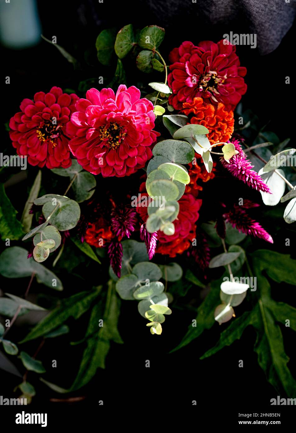 Bouquet di zinnie rosse e rosa dai colori vivaci e foglie di eucalipto verde raccolte in una fattoria di fiori. Foto Stock